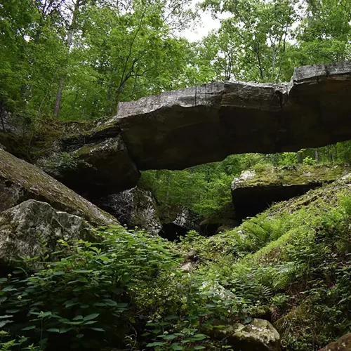 The Orange Dumpster Company serves Clinton, AR